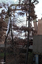 Giant Barn Swing