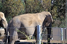 San Diego Zoo