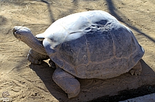 San Diego Zoo