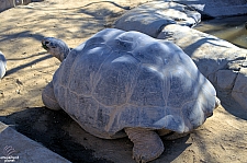 San Diego Zoo