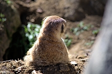 San Diego Zoo