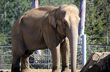 San Diego Zoo