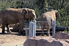 San Diego Zoo