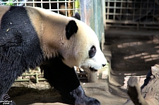 San Diego Zoo