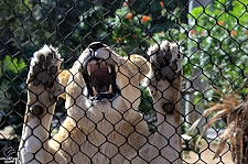 San Diego Zoo