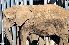 San Diego Zoo