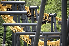 Batwing
