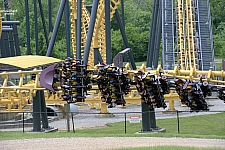 Batwing