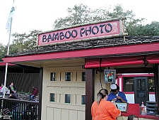 Bamboo Shoot