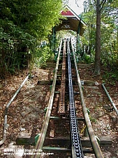Serpent