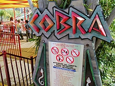 Cobra