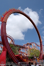 Dare Devil Chaos Coaster