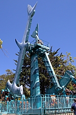 Hammerhead Shark