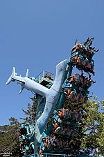 Hammerhead Shark