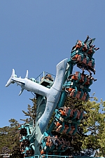 Hammerhead Shark
