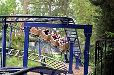 Roadrunner Express
