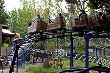 Roadrunner Express