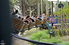 Roadrunner Express