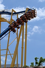 Chupacabra