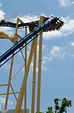 Chupacabra
