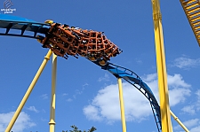 Chupacabra