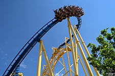 Chupacabra