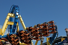Chupacabra
