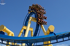 Chupacabra