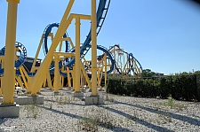 Chupacabra