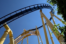 Chupacabra