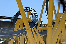 Chupacabra