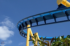 Chupacabra