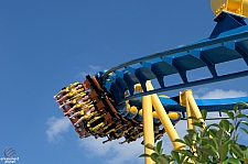 Chupacabra