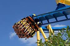 Chupacabra