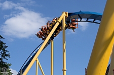 Chupacabra