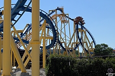 Chupacabra