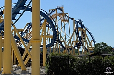 Chupacabra