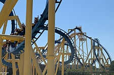 Chupacabra