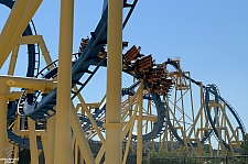 Chupacabra