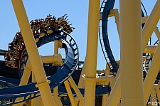 Chupacabra