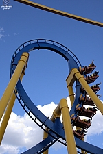 Chupacabra