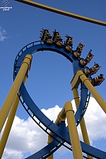 Chupacabra
