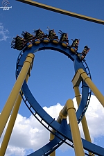 Chupacabra