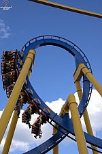Chupacabra