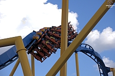 Chupacabra