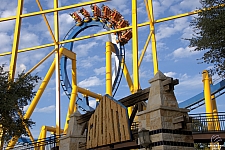 Chupacabra