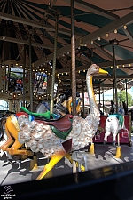 Grand Carousel