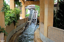 Bugs' White Water Rapids