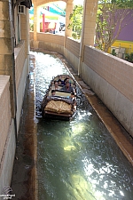 Bugs' White Water Rapids