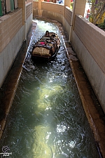 Bugs' White Water Rapids